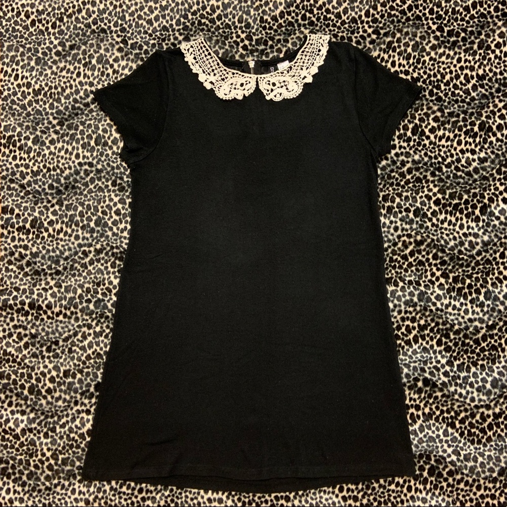 👩🏽‍⚖️Peter Pan Collar Sweater Dress👩🏽‍⚖️